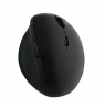 Logilink | Mouse | ID0139 | Wireless | Black