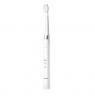 Panasonic | Toothbrush | EW-DM81 | Rechargeable | For adults | Number of brush heads included 2 | Number of teeth brushing modes