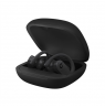 Beats Powerbeats Pro Totally Wireless Earphones In-ear, Black