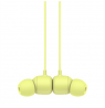 Beats Flex – All-Day Wireless Earphones In-ear, Yuzu Yellow