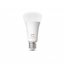 Philips Hue WCA 13,5W A67 E27
