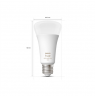 Philips Hue WCA 13,5W A67 E27