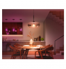 Philips Hue WCA 13,5W A67 E27