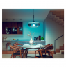 Philips Hue WCA 13,5W A67 E27