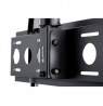 EDBAK Ceiling Mount With Height Adjustment Ceiling mount, CMS21, 40-75 ", Maximum weight (capacity) 60 kg, 	Black