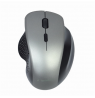 Gembird | Wireless Optical mouse | MUSW-6B-02-BG | Optical mouse | USB | Black-Spacegrey