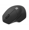 NATEC WIRELESS MOUSE SISKIN 2 BT 5.0 + 2.4GHZ