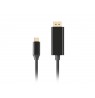 Lanberg CA-CMDP-10CU-0010-BK video cable adapter 1 m USB Type-C DisplayPort Black