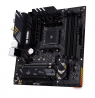 Asus TUF GAMING B550M-PLUS WIFI II Processor family AMD
