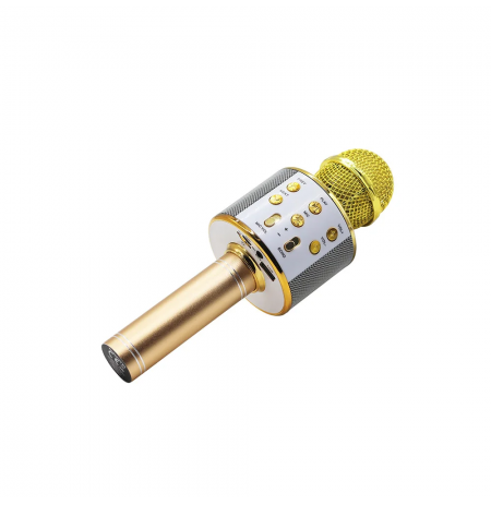 Manta MIC10-G gold