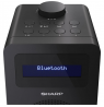 Sharp DR-430(BK) Digital Radio, FM/DAB/DAB+, Bluetooth 5.0, Midnight Black
