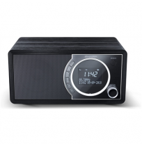 Sharp DR-450(BK) Digital Radio