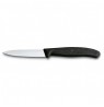 Victorinox peilis 6.7603