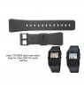 Laikrodžio dirželis CASIO 70378364