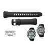 Laikrodžio dirželis CASIO 10179406