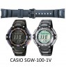 Laikrodžio dirželis CASIO 10304195