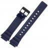 Laikrodžio dirželis CASIO 10460282