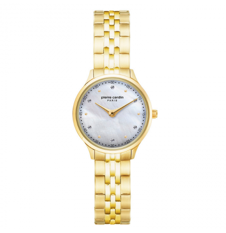 Pierre Cardin PC902682F305