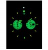 Vostok Europe Anchar 6S21-510A583