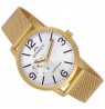 BISSET Luminous BSDE72GMSX03BX