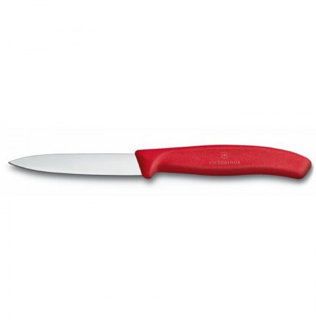 Victorinox peilis 6.7601