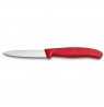 Victorinox peilis 6.7601