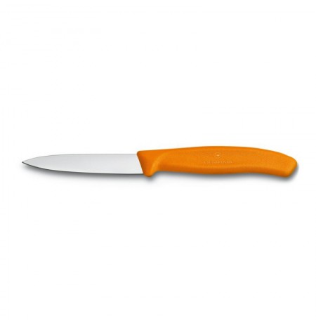 Victorinox peilis 6.7606.L119