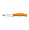 Victorinox peilis 6.7606.L119
