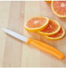 Victorinox peilis 6.7606.L119
