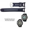 Laikrodžio dirželis CASIO 10290980