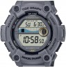 Casio Collection WS-1300H-8AVEF