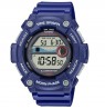 Casio Collection WS-1300H-2AVEF