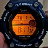Casio Collection WS-1300H-2AVEF