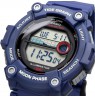Casio Collection WS-1300H-2AVEF