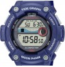 Casio Collection WS-1300H-2AVEF
