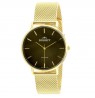Bisset Brienz BSBF33