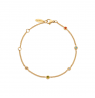 Paul Hewitt RAINBOW Stones Anklet PH003659