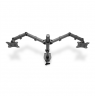 Digitus Dual Monitor Clamp Mount DA-90400 15-32 ", Maximum weight (capacity) 8 kg, Black