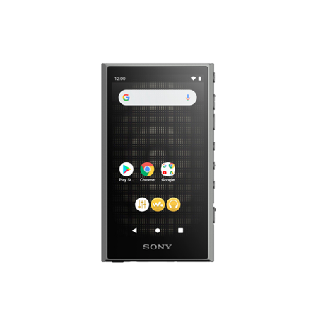 Sony NW-A306 Walkman A Series Portable Audio Player 32GB, Black