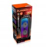 Large portable speaker KARAOKE FLAMEZILLA MT3178