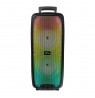 Large portable speaker KARAOKE FLAMEZILLA MT3178
