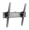Gembird | Wall mount | WM-55T-02 | 32-55 " | Maximum weight (capacity) 40 kg | Black