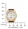 Citizen Radio Controlled Eco-Drive EC1183-16A