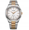 Citizen Eco-Drive AW1756-89A