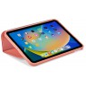 Case Logic 4973 Snapview Case iPad 10.2 CSIE-2156 Sienna Red