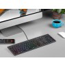 A4Tech FSTYLER FX60H (Neon Backlit) keyboard USB QWERTY Black, Grey