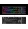 A4Tech FSTYLER FX60H (Neon Backlit) keyboard USB QWERTY Black, Grey