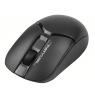 A4Tech wireless optical mouse FSTYLER FG12S RF 2,4GHz A4TMYS47120