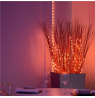 Twinkly Dots Smart LED Lights 60 RGB (Multicolor), USB Powered, 3m, Transparent