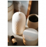 Camry Ultrasonic aroma diffuser 3in1 CR 7970 Ultrasonic, Suitable for rooms up to 25 m², White